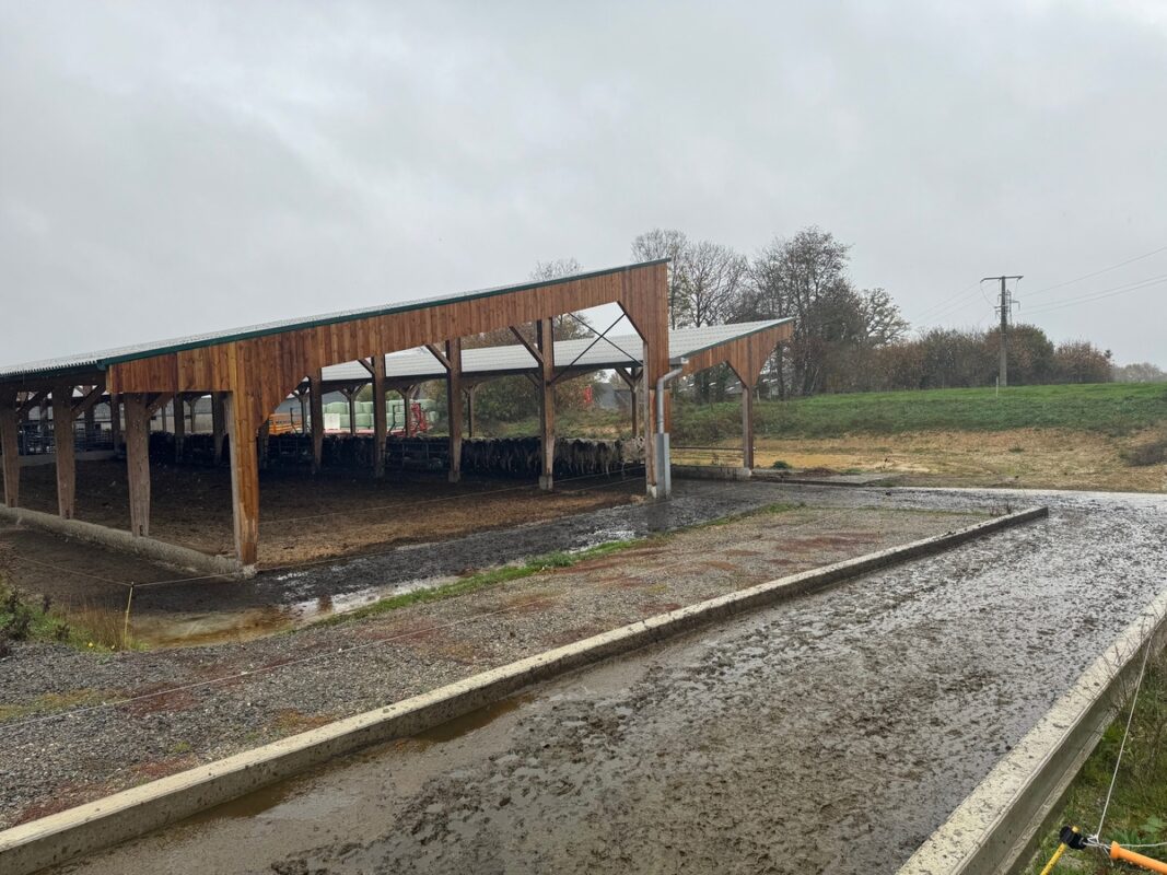 Une large rampe bétonnée fait la connexion entre l'étable et les chemins vers les paddocks. 