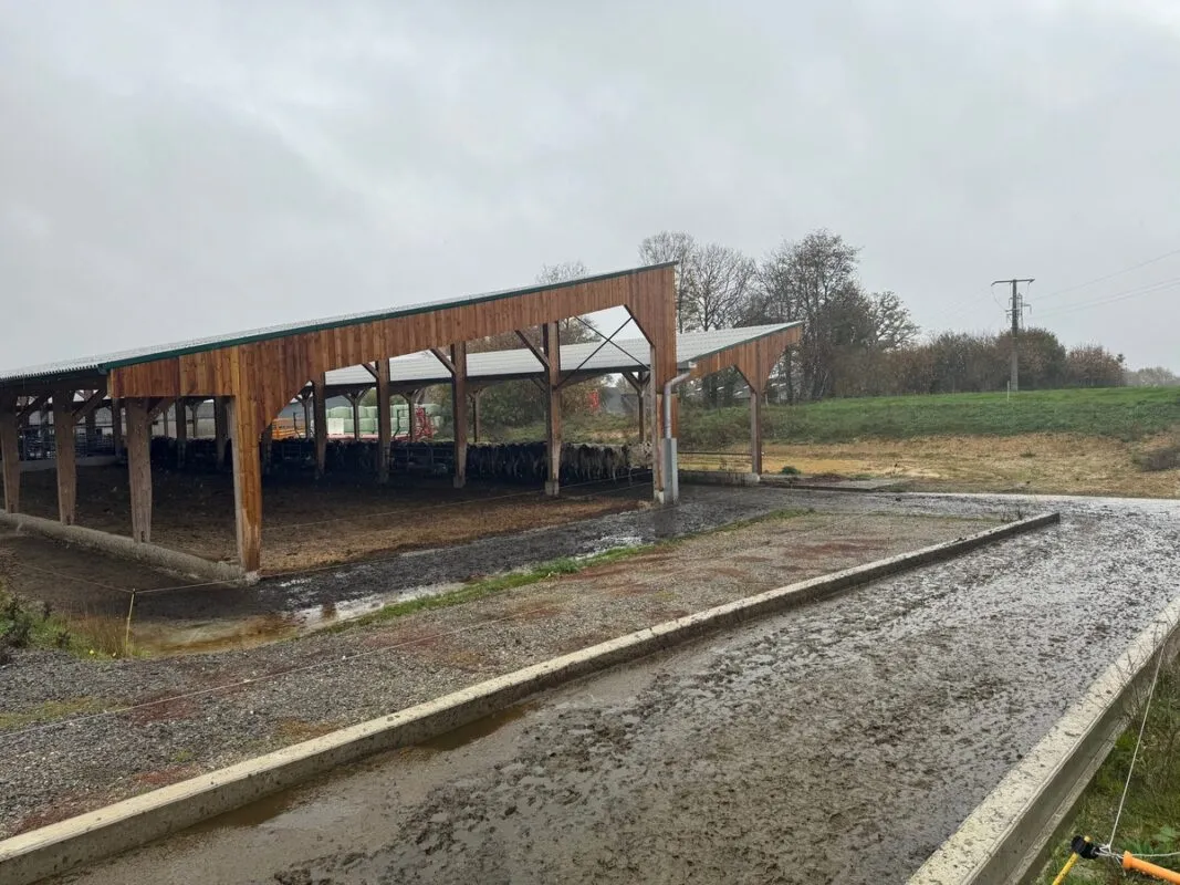 Une large rampe bétonnée fait la connexion entre l'étable et les chemins vers les paddocks.