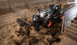 Un chariot télescopique équipé d'un godet à griffes en train de curer une stabulation