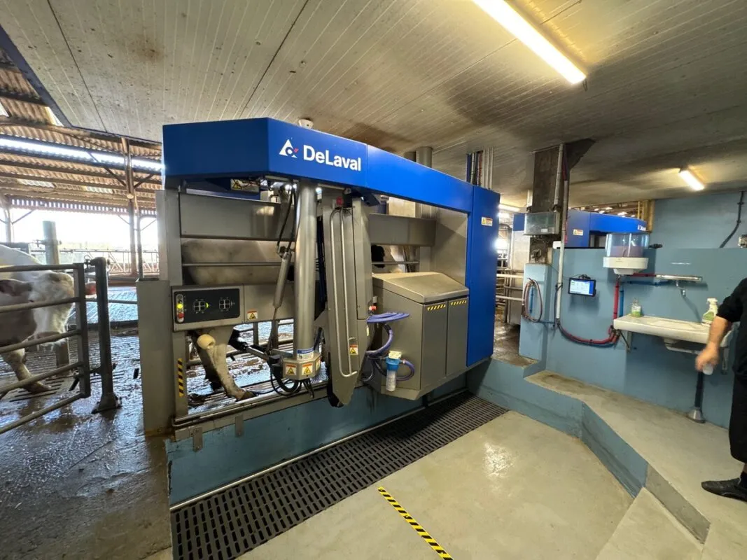 Un robot de traite bleu de marque DeLaval dans un élevage laitier