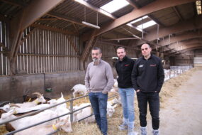 Trois hommes dans un bâtiment d'élevage avec des chèvres sur paille