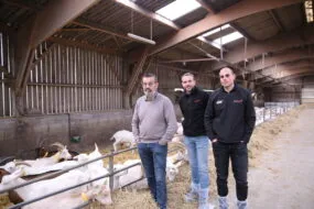 Trois hommes dans un bâtiment d'élevage avec des chèvres sur paille