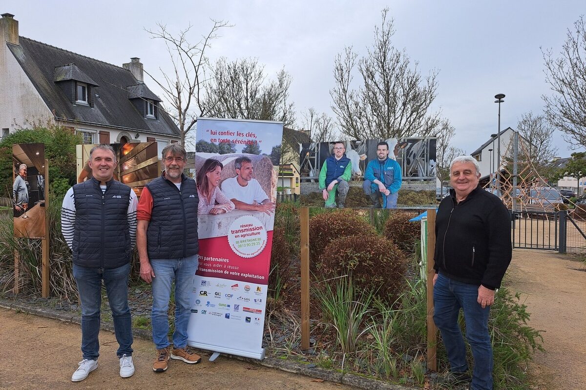 Trois hommes devant des affiches - Illustration 10e édition de la Quinzaine de la Transmission-Reprise