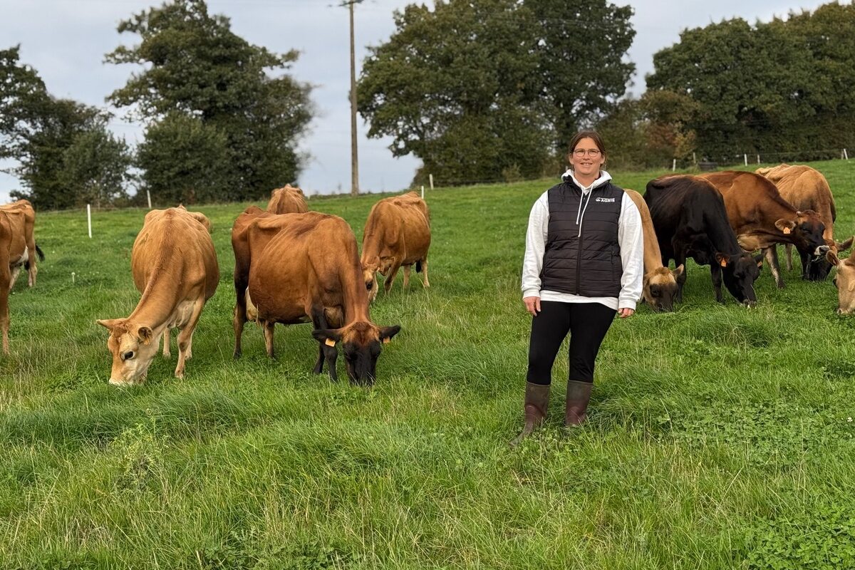 Une éleveuse au milieu de vaches de race Jersiaise au pâturage - Illustration S’installer en relançant le lait