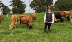 Une éleveuse au milieu de vaches de race Jersiaise au pâturage