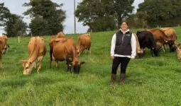Une éleveuse au milieu de vaches de race Jersiaise au pâturage