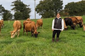 Une éleveuse au milieu de vaches de race Jersiaise au pâturage