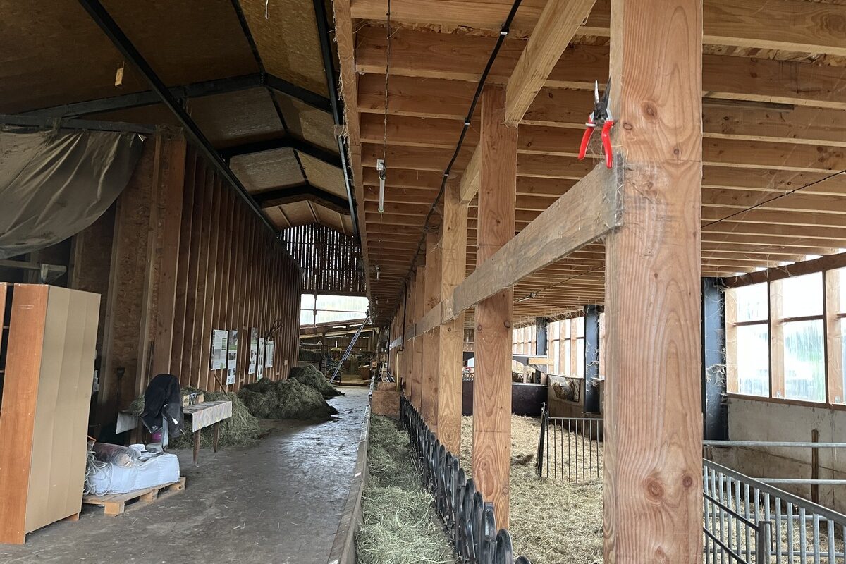 Une aire de séchage de foin en grange dans une chèvrerie - Illustration Du foin au sommet de sa qualité toute l’année