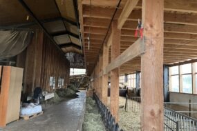 Une aire de séchage de foin en grange dans une chèvrerie