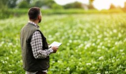 Un homme de dos avec une tablette à la main dans un champ