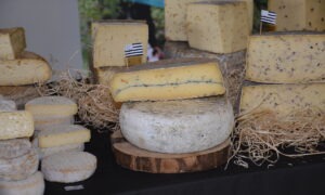 Un étal de fromages