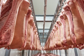 Carcasses de porc dans un abatooir