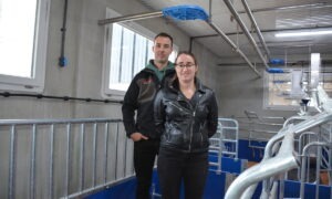 Une femme et un homme dans une maternité porcine