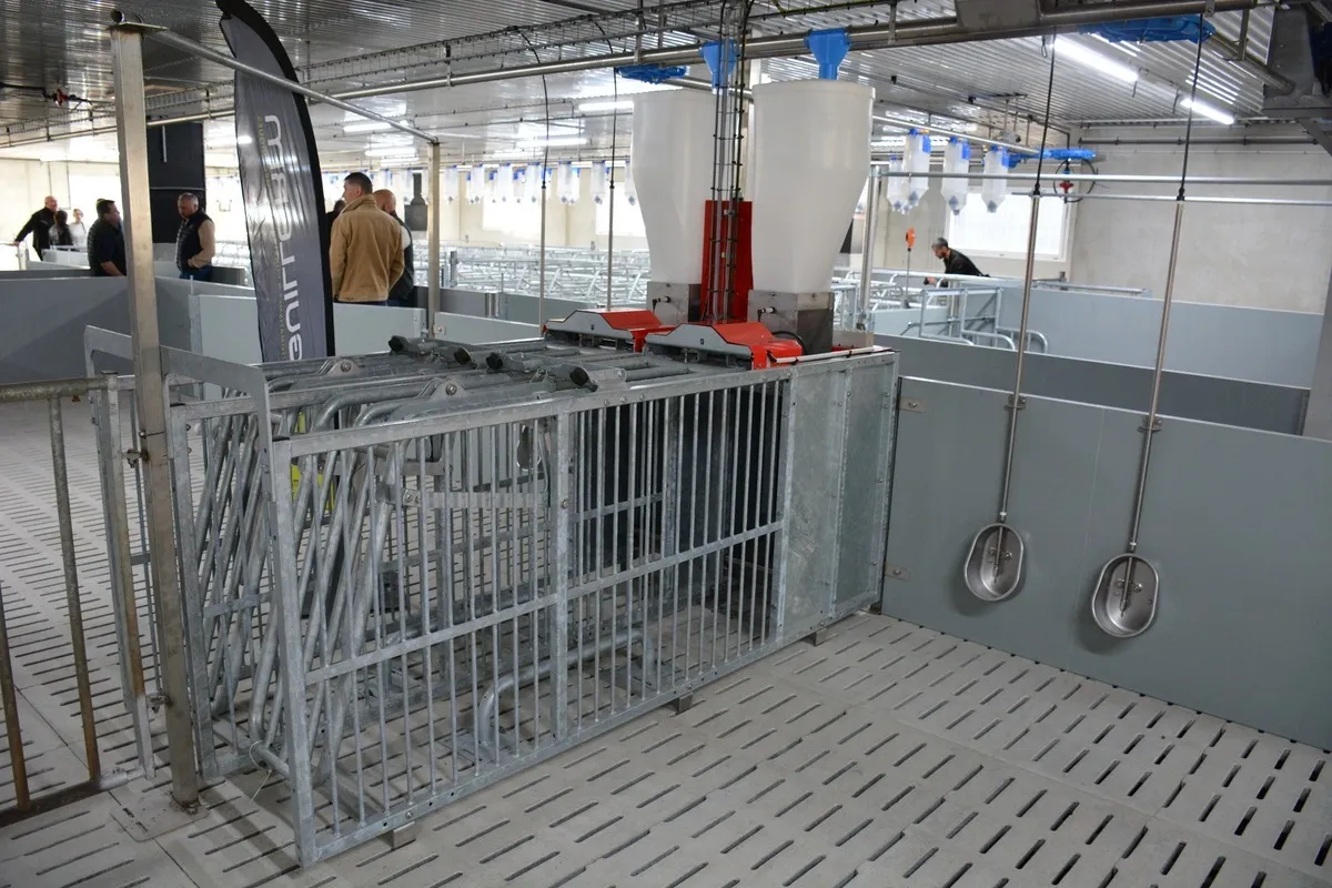 En gestante, des Dac de chez Schauer ont été installés pour automatiser et permettre une alimentation individualisée.