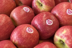 Des pommes pink lady