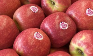 Des pommes pink lady