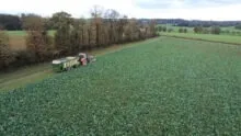 Chantier d'affouragement en vert