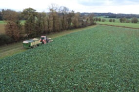 Chantier d'affouragement en vert