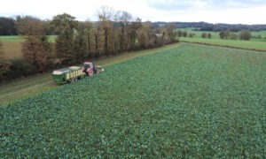 Chantier d'affouragement en vert