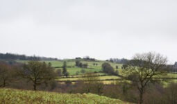 Campagne bretonne à Bulat-Pestivien