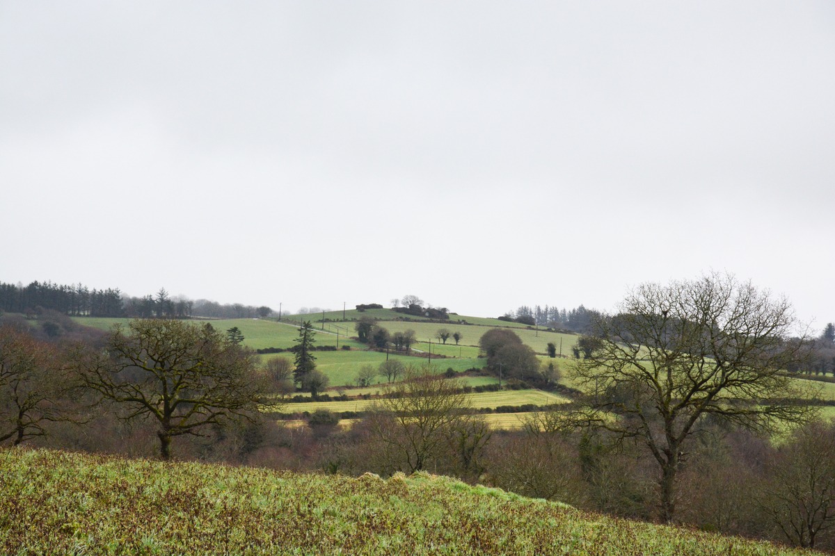 Campagne bretonne à Bulat-Pestivien  - Illustration Les « frugaux » face aux « amis de la Pac »