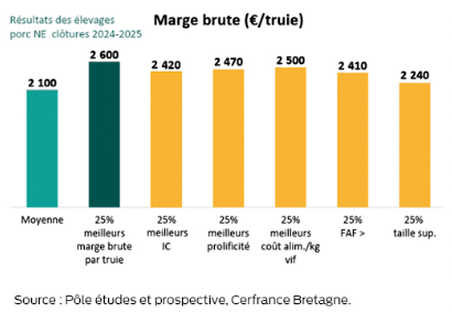 graphique de la marge brute des élevages de porc naisseur engraisseur en 2024 2025