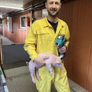 l'éleveur porcin avec son porcelet et son pistolet de vaccination intradermique IDAL de MSD