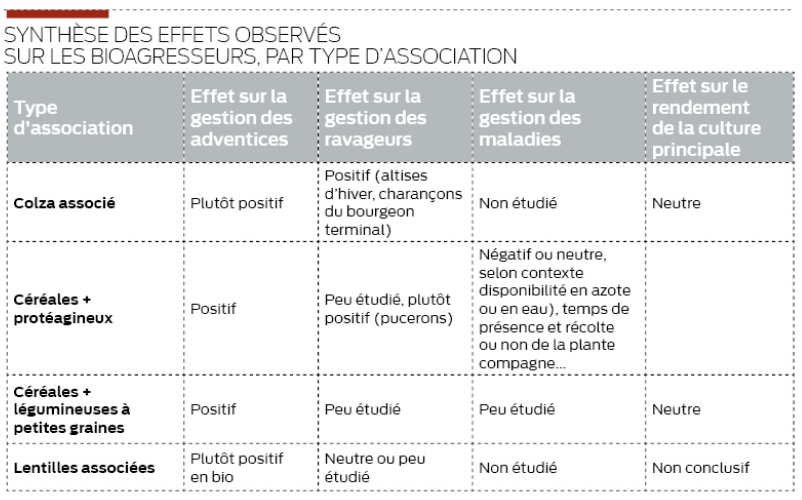 tableau de synthèse des effets observés sur les bioagresseurs, par type d'association