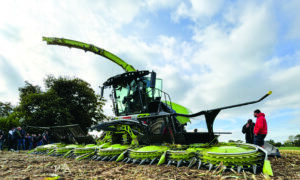 Une ensileuse au travail dans un champ de maïs avec des personnes sur le côté