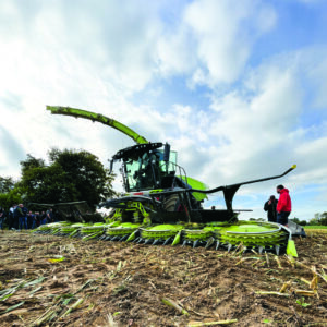 Une ensileuse au travail dans un champ de maïs avec des personnes sur le côté