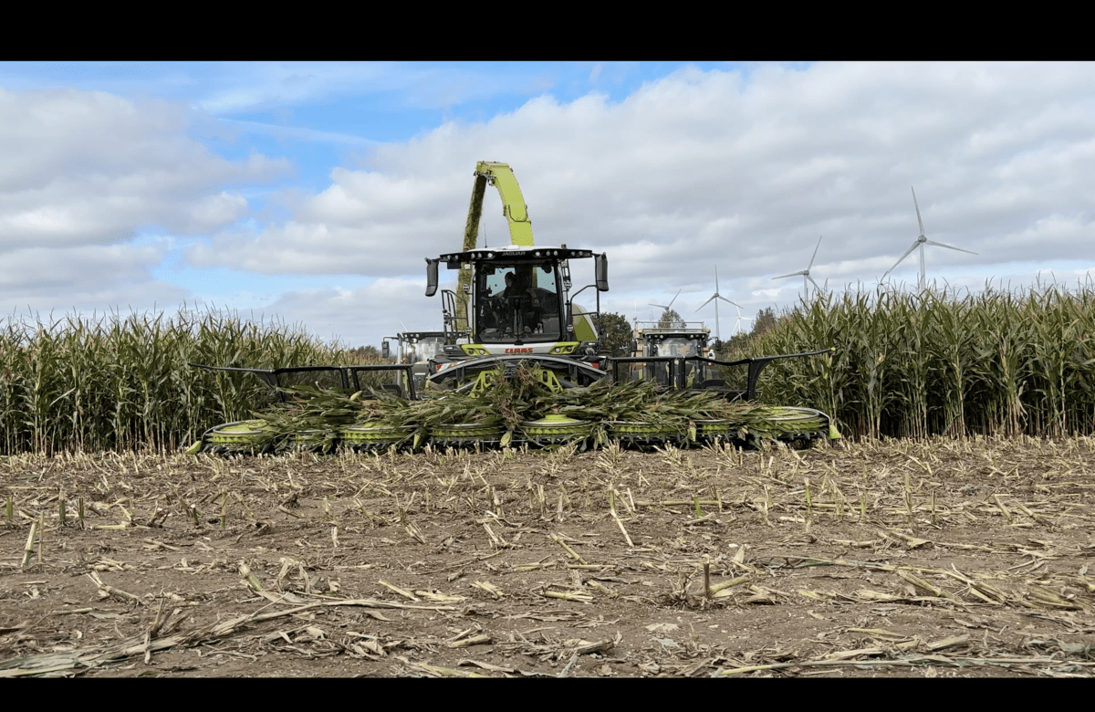 Avec 14 rangs, le chantier gagne en vitesse.