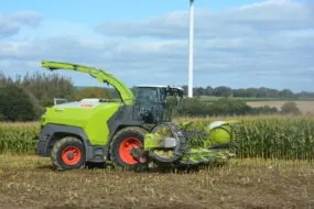 Une ensileuse au travail dans un champ de maïs