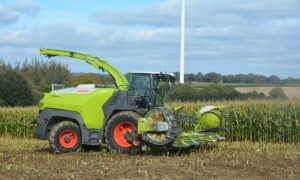 Une ensileuse au travail dans un champ de maïs
