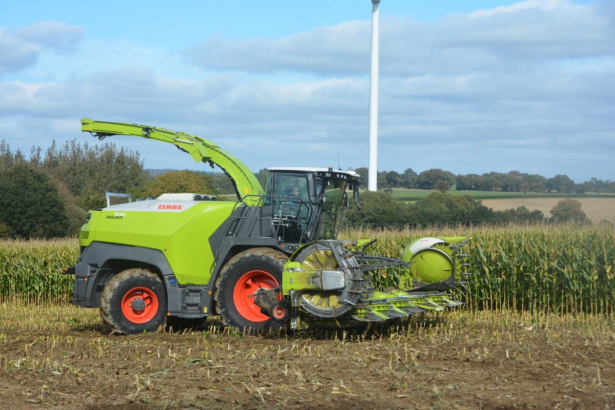 Une ensileuse au travail dans un champ de maïs - Illustration 14 rangs ensilés à chaque passage