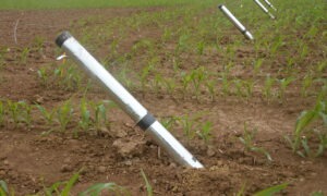 Un tube enfoncé dans un champ