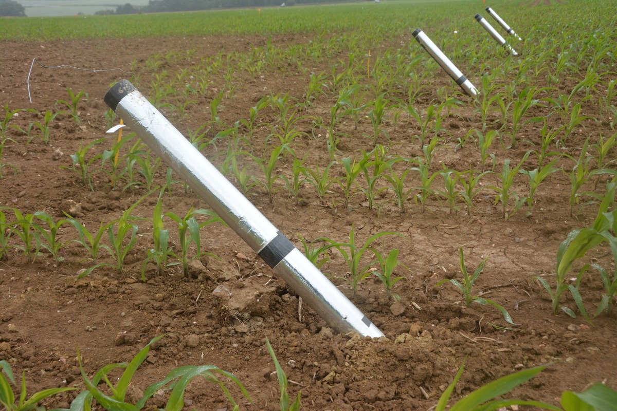 Un tube enfoncé dans un champ - Illustration Avec le mini-rhizotron, voyage au cœur des racines