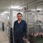 Un homme dans un bâtiment d'élevage de porcs avec des porcelets en cases maternité