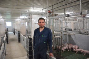 Un homme dans un bâtiment d'élevage de porcs avec des porcelets en cases maternité