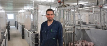 Un homme dans un bâtiment d'élevage de porcs avec des porcelets en cases maternité