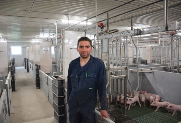 Un homme dans un bâtiment d'élevage de porcs avec des porcelets en cases maternité