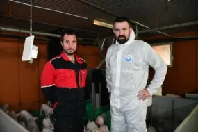 Deux hommes dans un élevage de porcs