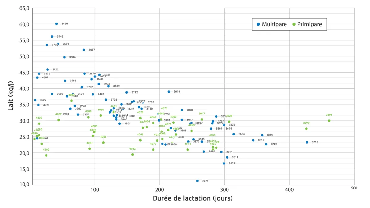 Nutréa Pro : l’outil permet d’identifier rapidement les vaches déviantes, en distinguant les primipares des multipares, avec tris possibles selon le rang, le stade et la production de lait.