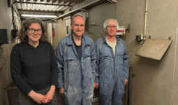 Des personnes dans une porcherie