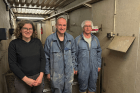 Des personnes dans une porcherie