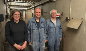 Des personnes dans une porcherie