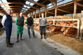 quatre hommes dans un bâtiment de bovins