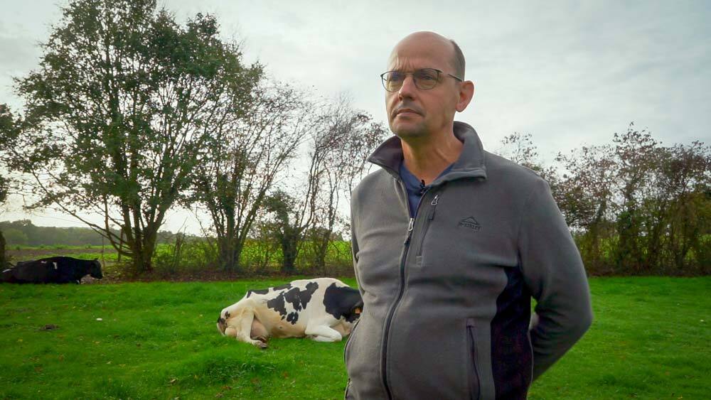 Un homme dans un champ avec une vache couchée derrière