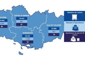 Carte de la Bretagne des déclarations de ruches 2024