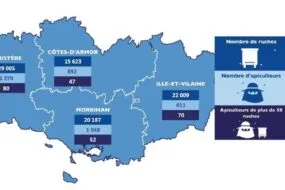 Carte de la Bretagne des déclarations de ruches 2024