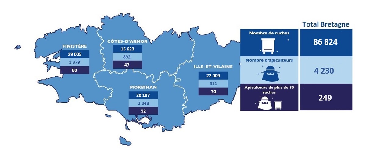 Carte de la Bretagne des déclarations de ruches 2024 - Illustration Déclarer ou accueillir des ruches sur son exploitation